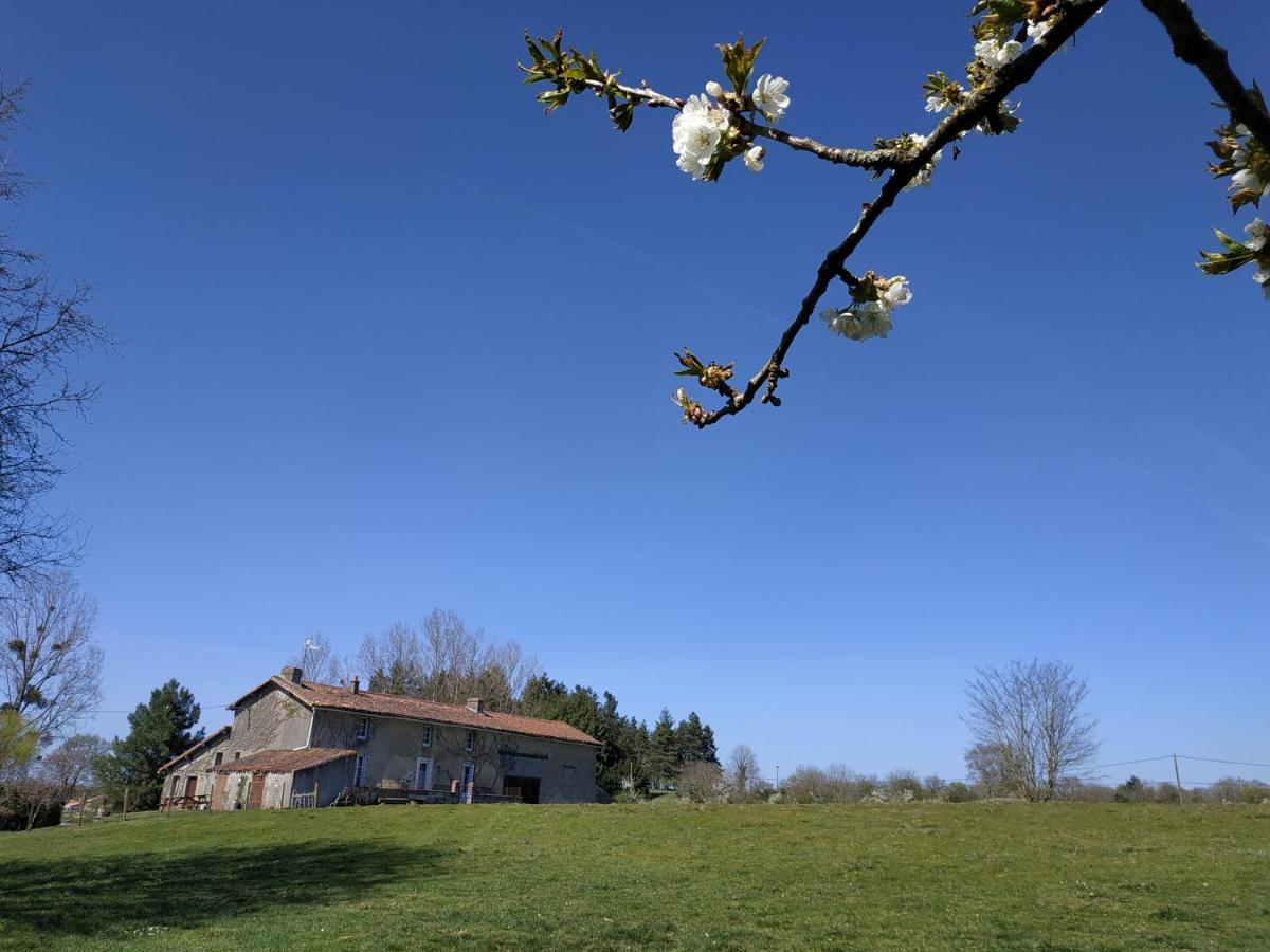 Maison Au Calme Avec Vue Etang * Clesse (Deux-Sevres)